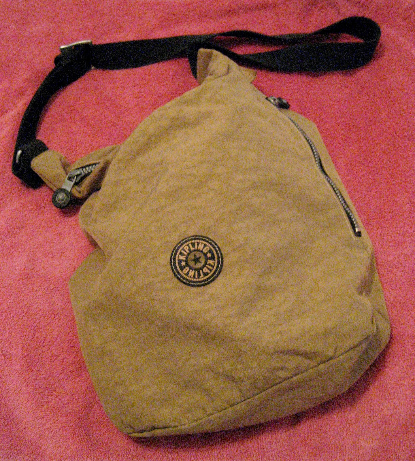 Living Rootless Teach & Learn with