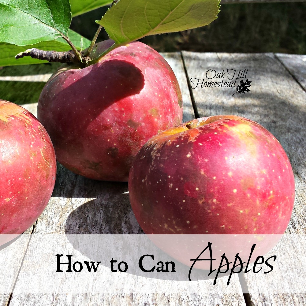 How to Can Apples Oak Hill Homestead