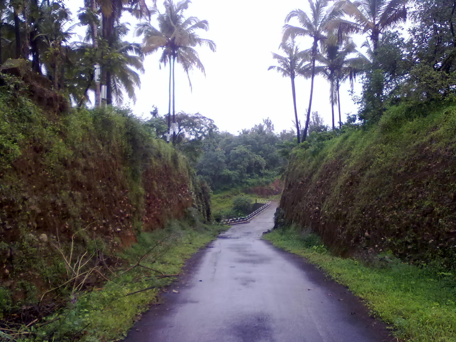 जरा वळून पाहताना रस्‍ता असा दिसला