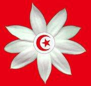 RECONSTRUIRE MA TUNISIE