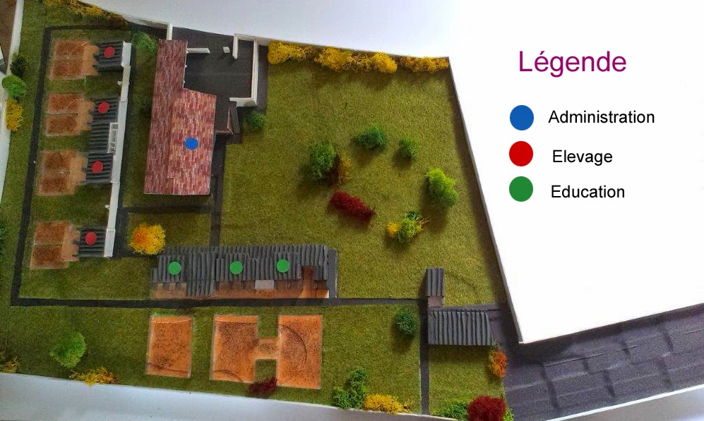 business plan elevage chien business plan elevage chien