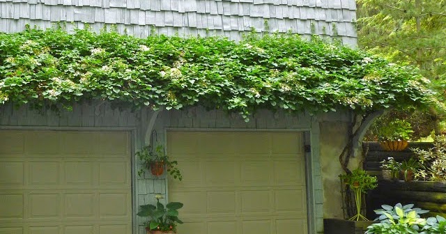 Garage Door Journal: Pergola over garage