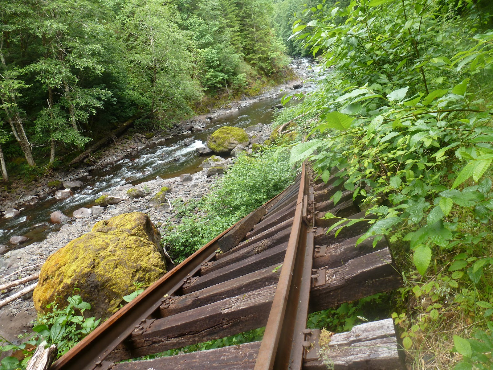 Hiking Oregon Hiking The Salmonberry A tail of the Rails.