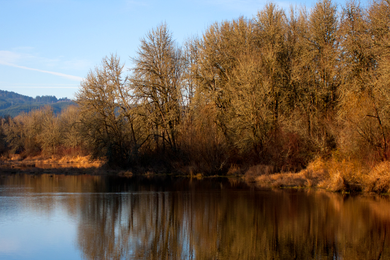 Great Big Open Road Sauvie Island, Oregon...