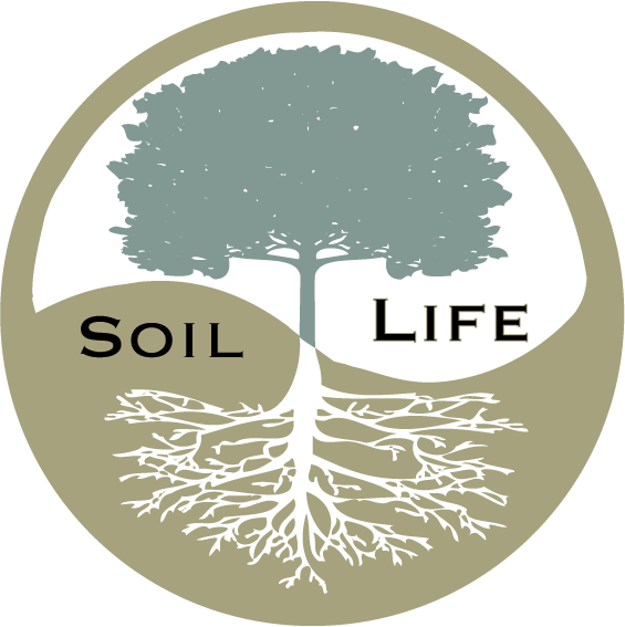 The Impact of Chemical Fertilizers on The Environment Keep Our Earth Now