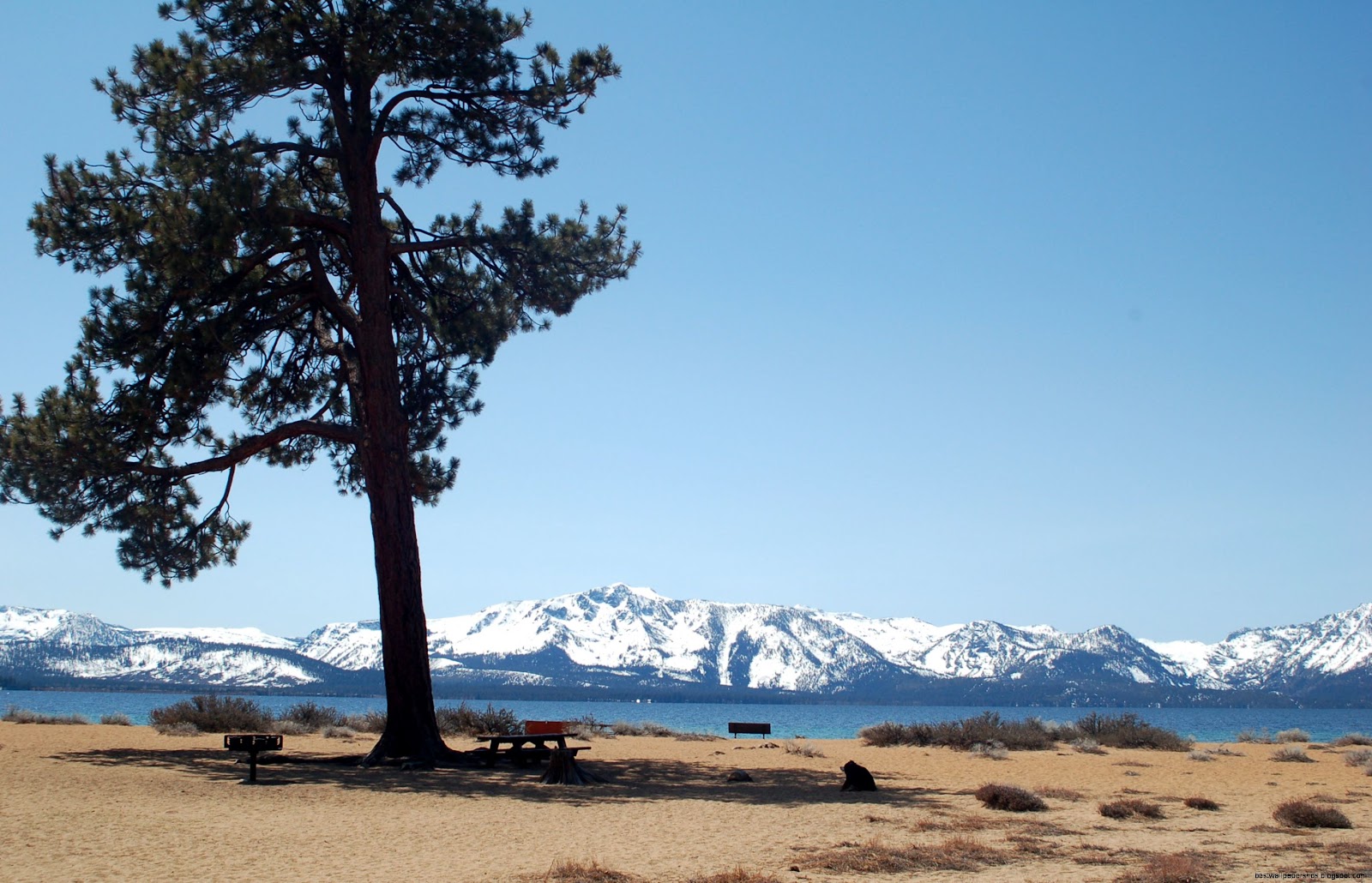Nevada Beach Lake Tahoe Wedding Nevada Beach Lake Tahoe Wedding