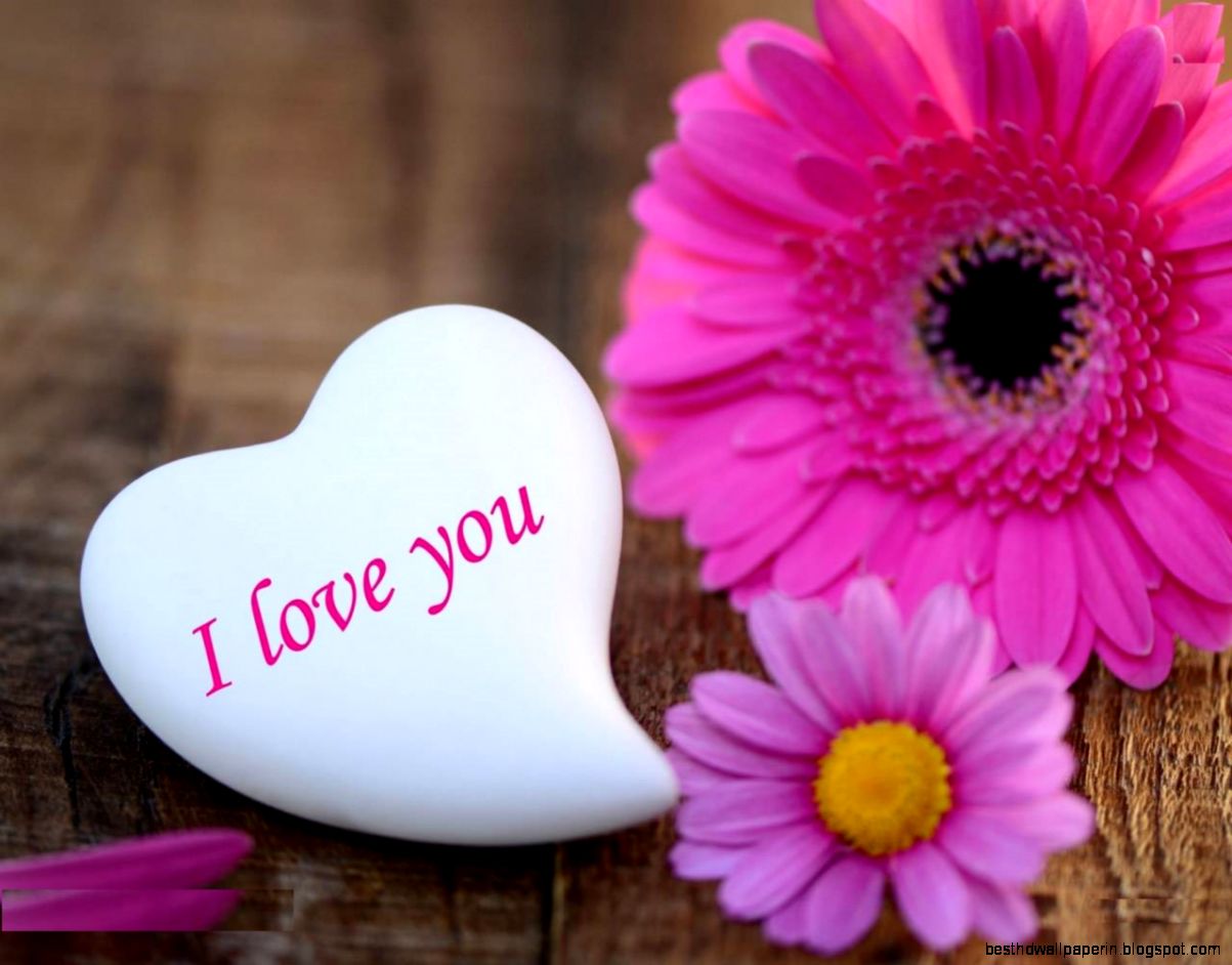 Obtain Free Love HD Wallpapers For PC HD Images New Obtain Free Love HD Wallpapers For PC HD Images New