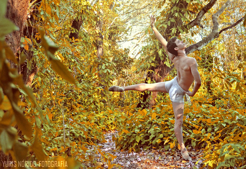 JAIME-21.jpg (800&times;550)