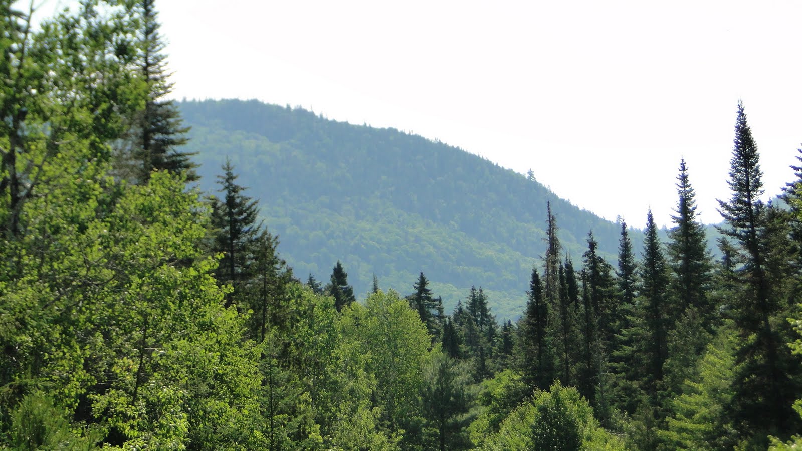 MONTREAL, CANADA PARC DU MONTTREMBLANT, LAC DES SABLES
