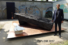 Diplom 2017