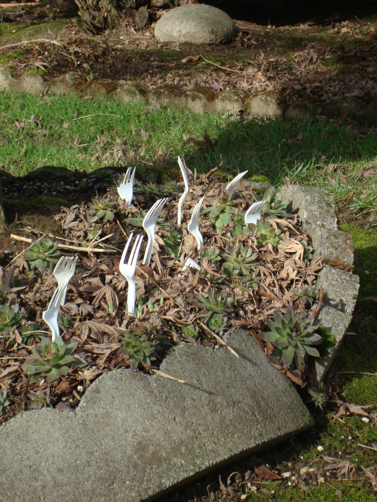 danger garden Forks…in the garden…what?
