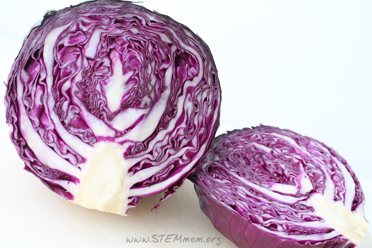 Dr. STEM Mom pH Cabbage indicator tutorial and labs