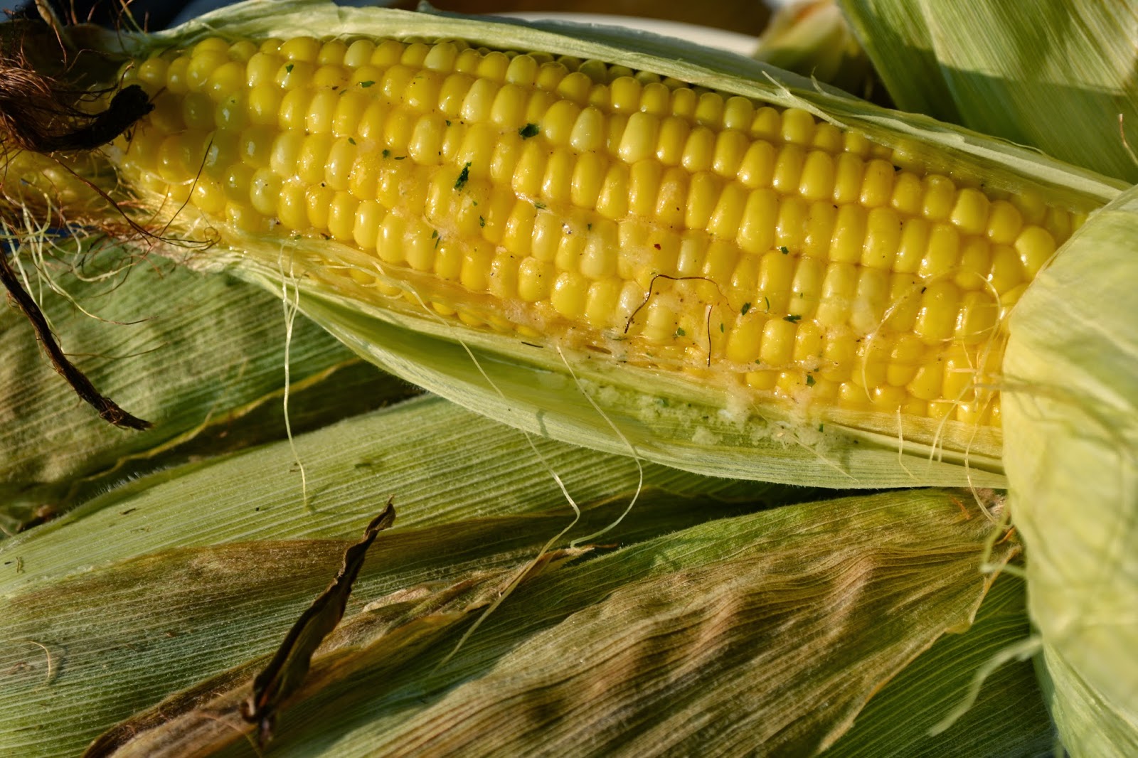 Ranch Corn on the Cob