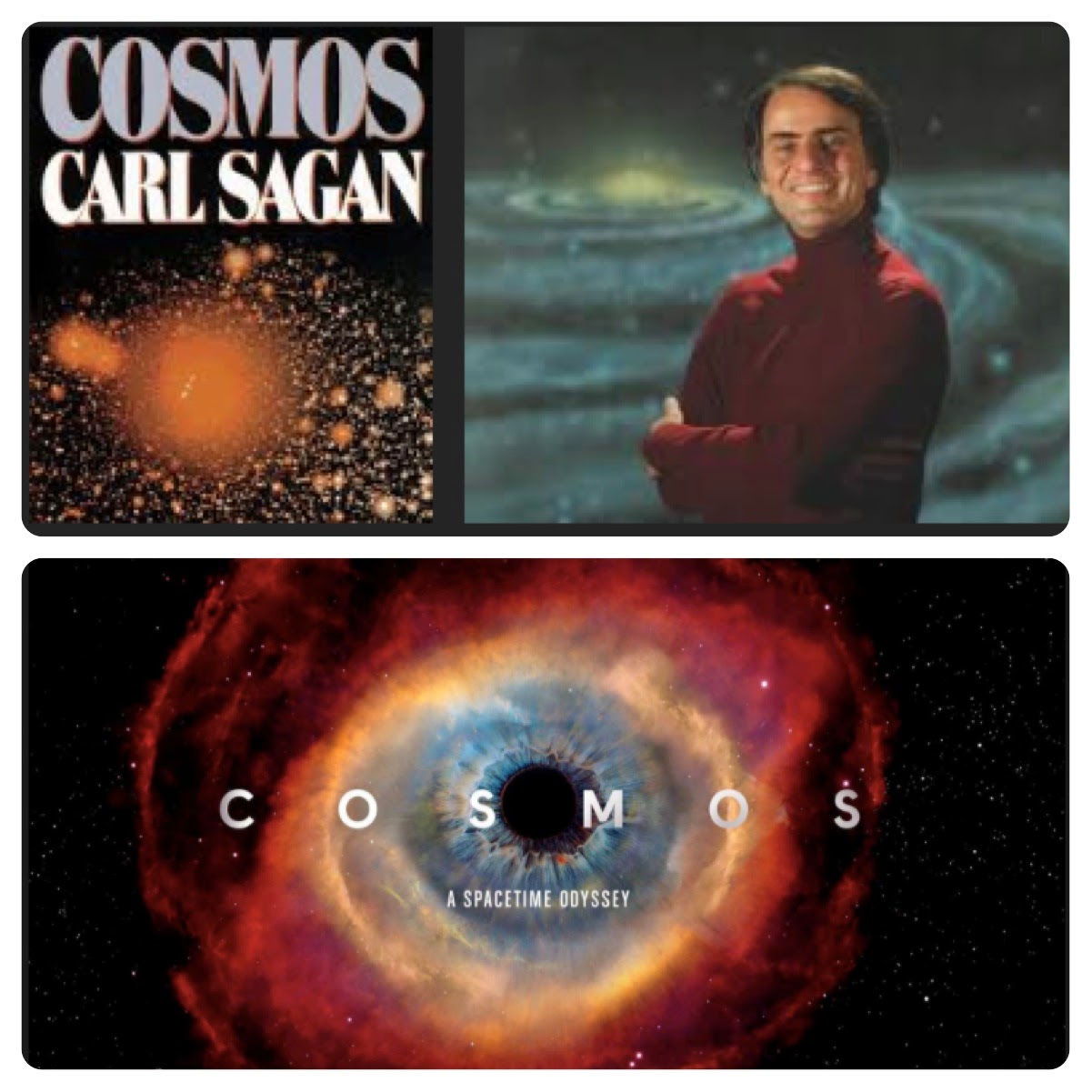 Cosmos: A Personal Voyage - Wikipedia