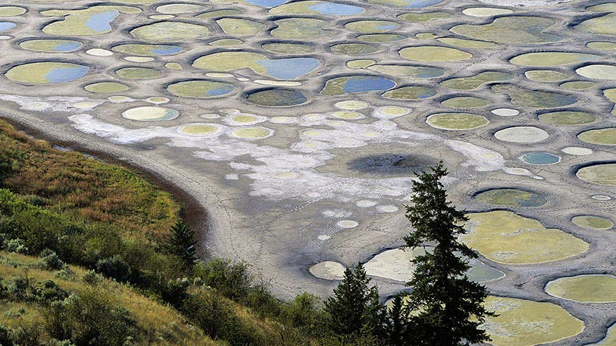 26. Spotted Lake in Osoyoos, British Columbia - 29 Unbelievable Locations That Look Like They’re Located On Another Planet 26. Spotted Lake in Osoyoos, British Columbia - 29 Unbelievable Locations That Look Like They’re Located On Another Planet