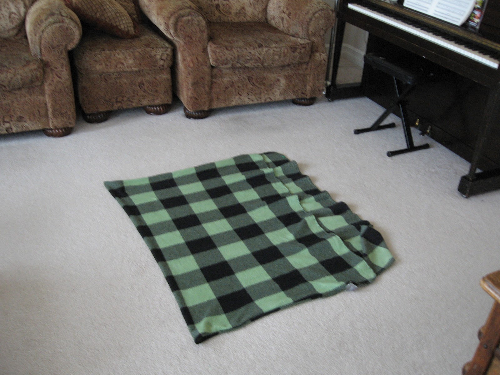 Almost Unschoolers Blanket "Nest"