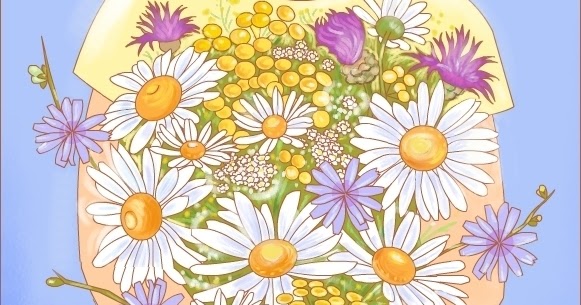 Nicole S Free Coloring Pages Wildflowers For A Happy Day