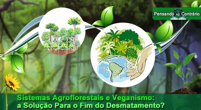 Sistemas Agroflorestais e Veganismo: a Solução Para o Fim do Desmatamento?