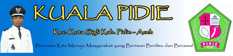 Gampong Kuala Pidie