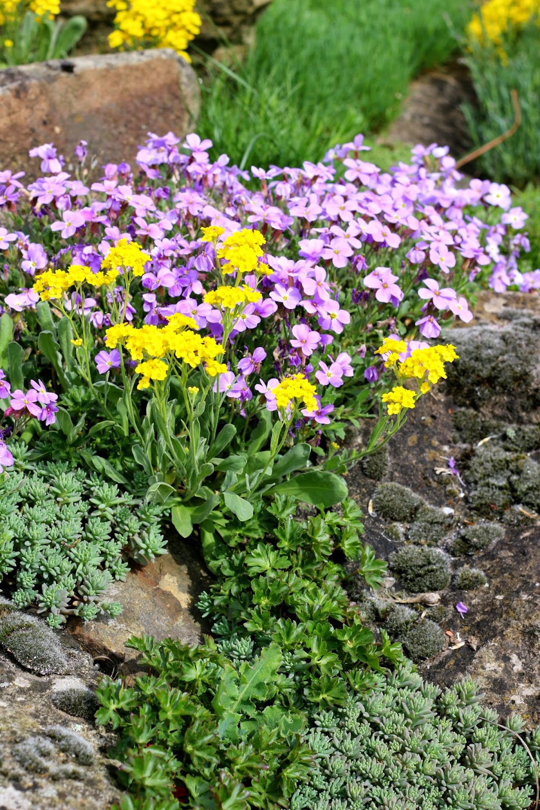 Kreative Lekture Das Wesen Der Pflanze Von Helen William Bynum