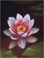 White and Pink Lotus