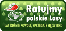 Ratujmy Polskie Lasy