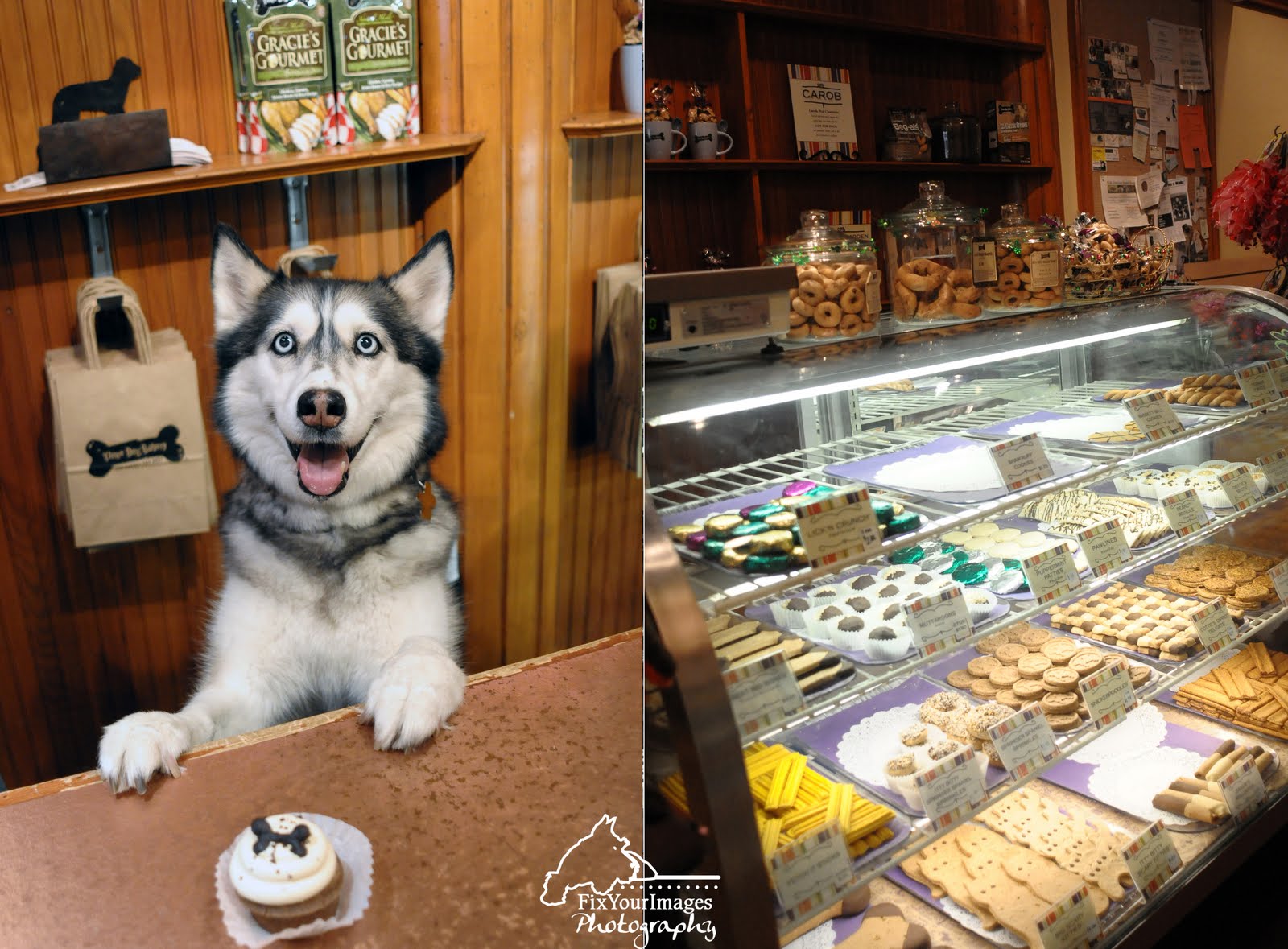 Three Dog Bakery + Country Club Plaza + Bella DOG Magazine Kansas