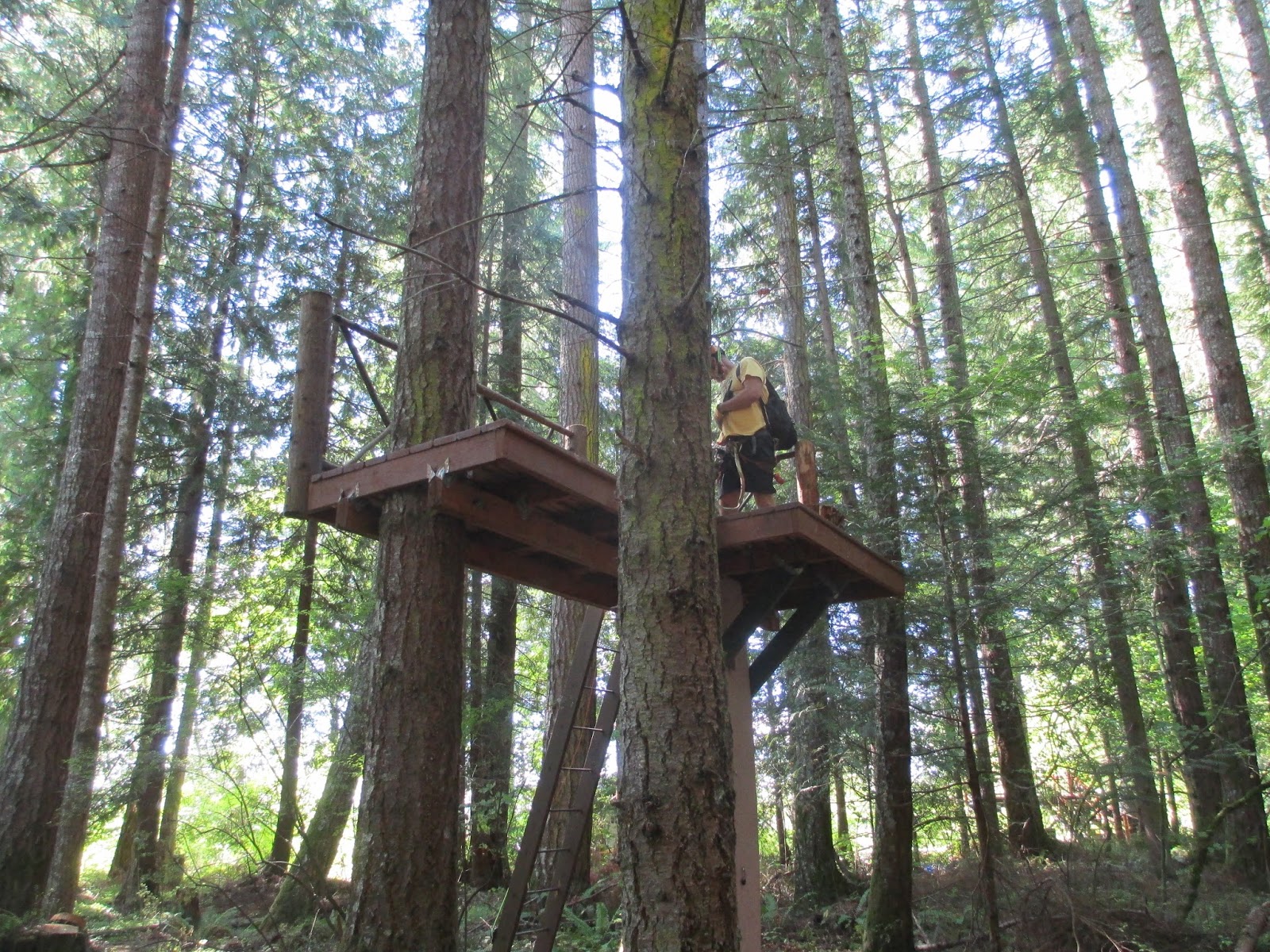 Ziplining Across the USA Monday September 2 Treehouse Island Zipline