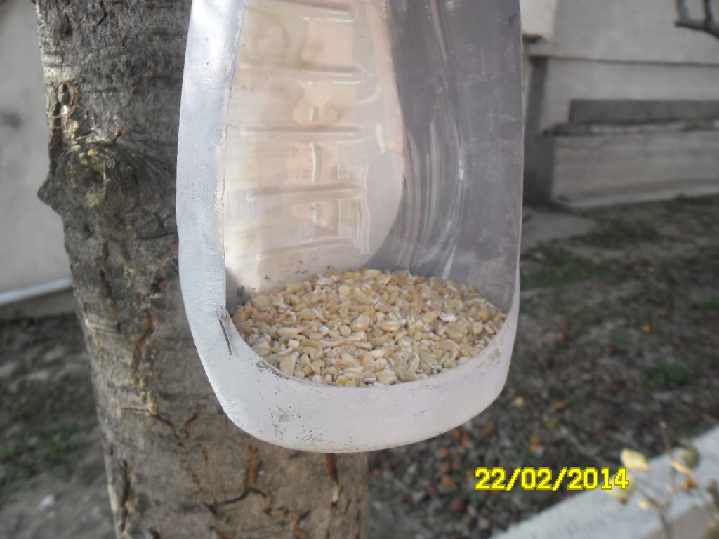 NaLaN�ın Dünyası DIY KUŞLARA YEMLİK YAPTIK ( NaLaN� ın Atölyesi)