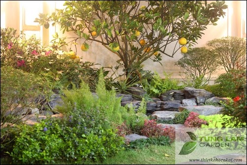Thiết kế hồ cá Koi đẹp, sân vườn Splendora với hồ cá Koi mini, cá Koi Nhật thân thiện Thiết kế hồ cá Koi đẹp, sân vườn Splendora với hồ cá Koi mini, cá Koi Nhật thân thiện