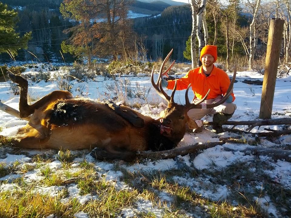 God Provides A Freezer Full of Organic, GrassFed Elk Meat!