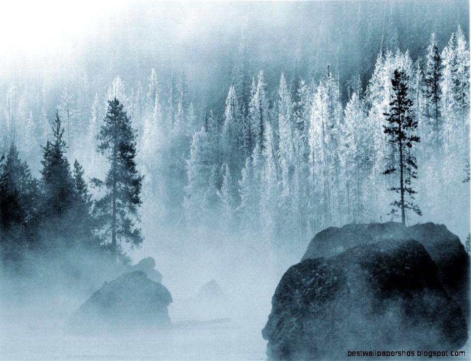 Download Winter Forest Wallpaper 1024x768 Wallpoper 312865 Download Winter Forest Wallpaper 1024x768 Wallpoper 312865