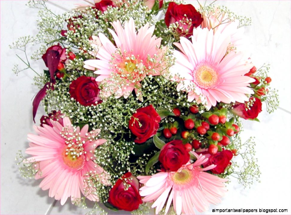 Valentine Flowers Wallpapers d39Sko Valentine Flowers Wallpapers d39Sko