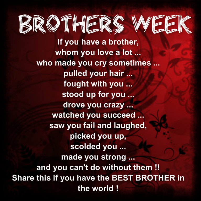 Brother Quotes From Older Sisters. QuotesGram