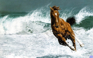 صور جميلة - صور حلوة صور جميلة - صور حلوة