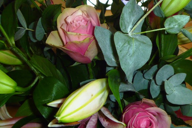 The Vegetarian Experience Wild Ivy Flowers, St Albans The flowers