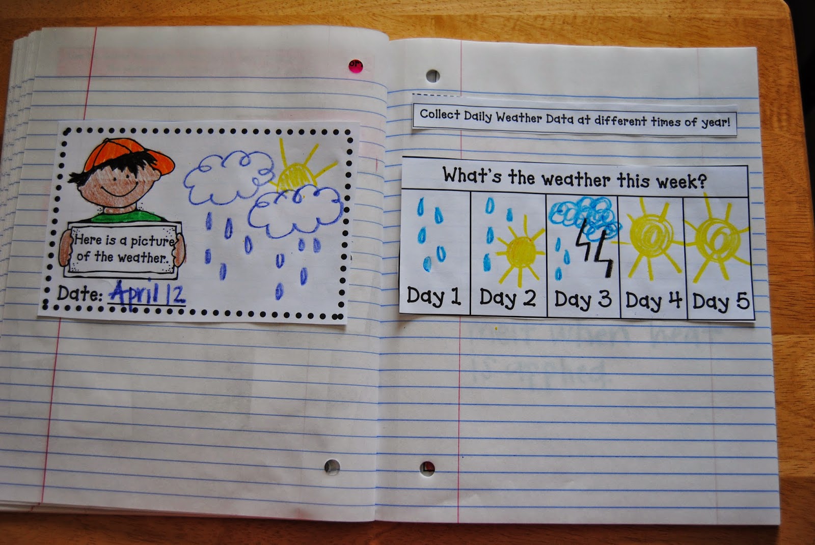 Teaching, Learning, & Loving: Interactive Science Journals