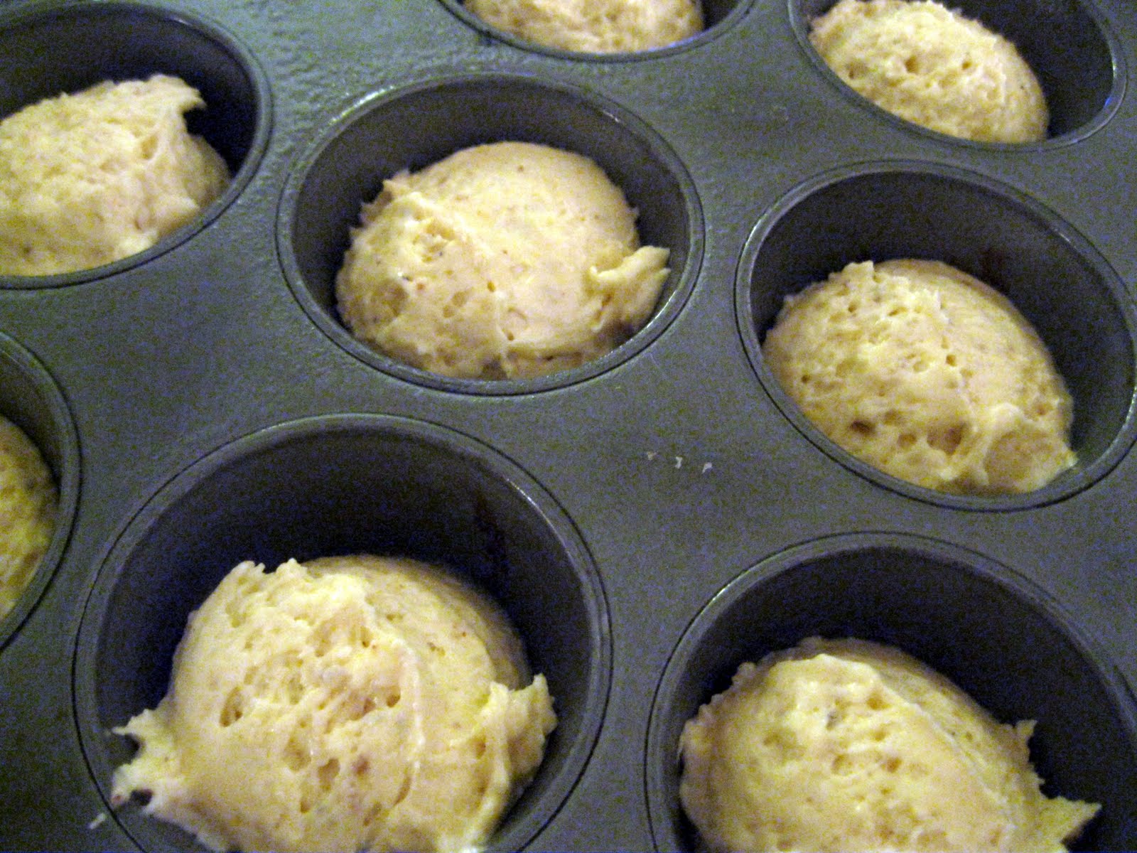Adirondack Baker Lemon Yogurt Muffins on a Happy, Happy Day