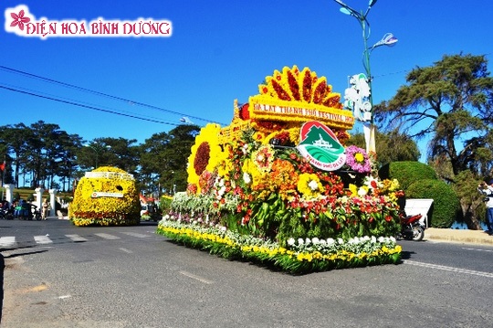 [Image: Dep-doc-va-la-voi-Festival-hoa-Da-Lat-2.JPG]