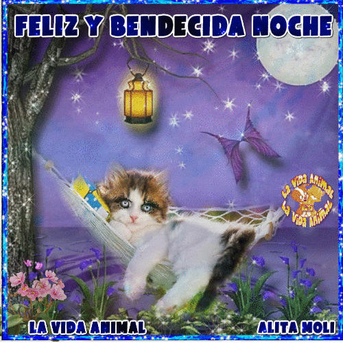2DA SEMANA DE NOVIEMBRE SEMANA DE LA VIDA ANIMAL 2da semana de noviembre semana de la vida animal: