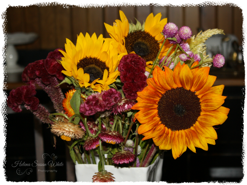 Petal and Lace Cottage Shades of Summer Past