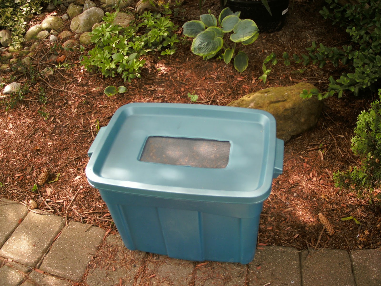 Sawyer Pest Management Inc., London Ontario Pest Control