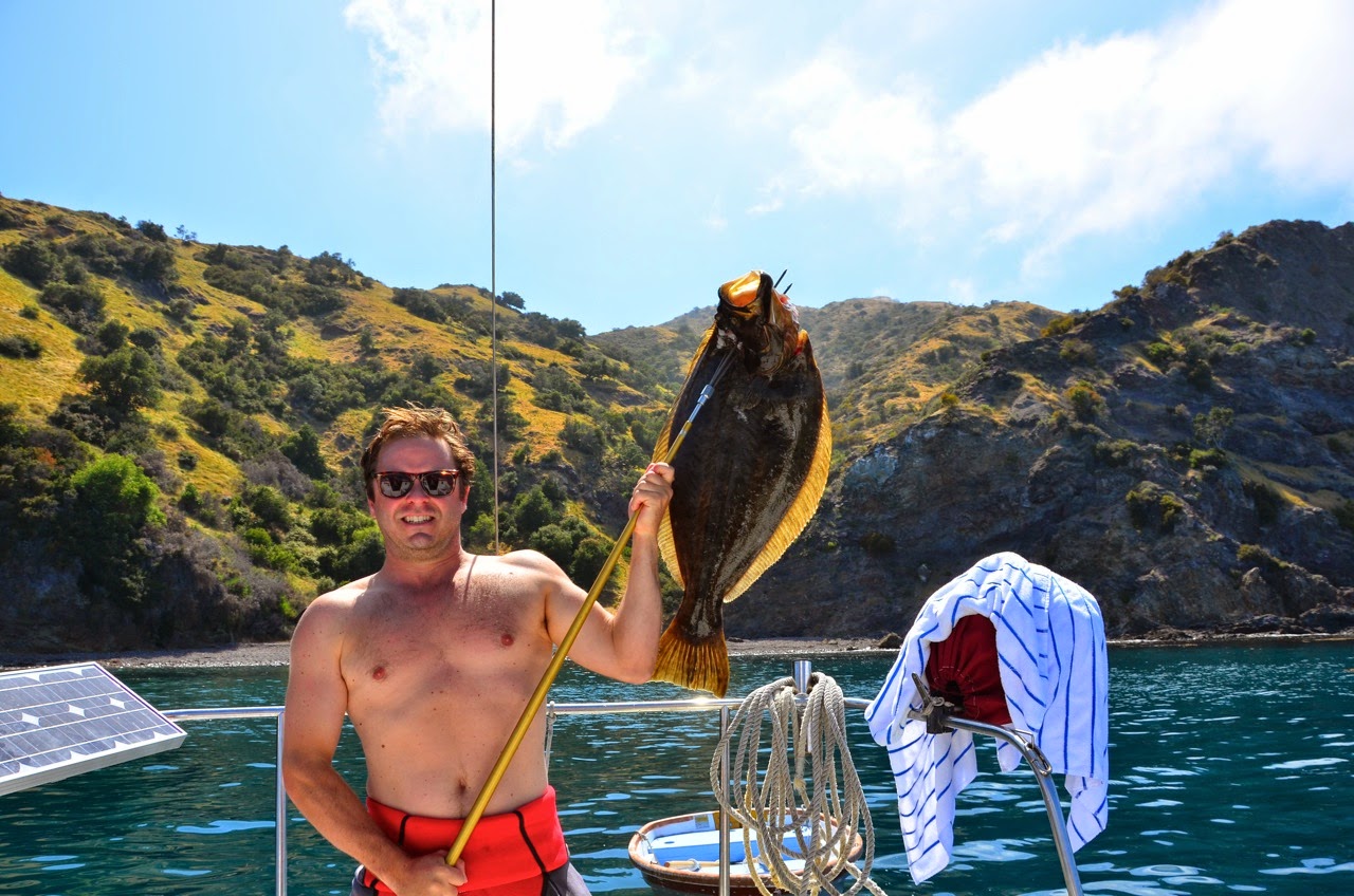 spearfishing California halibut catalina