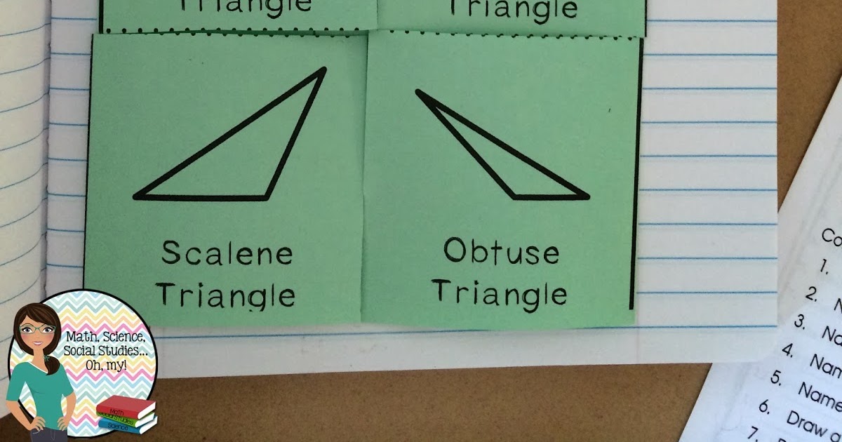 Math, Science, Social Studies......Oh, my!: Foldable Friday: Types of