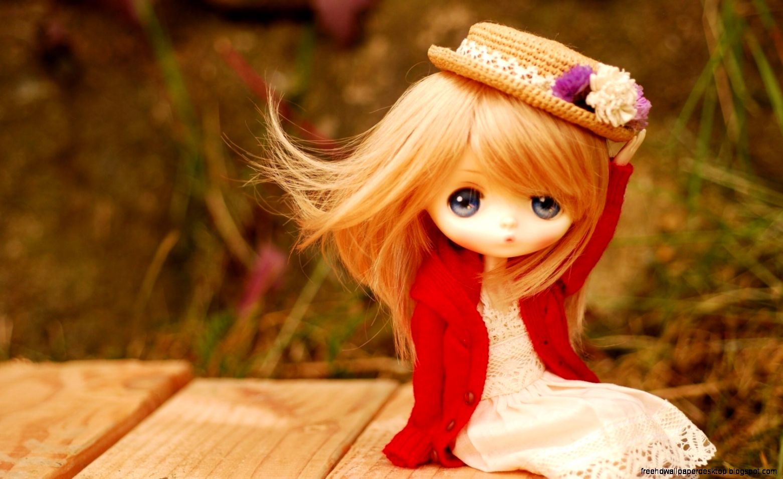 Doll Hat Toy HD Wallpaper FreeWallsUp Doll Hat Toy HD Wallpaper FreeWallsUp