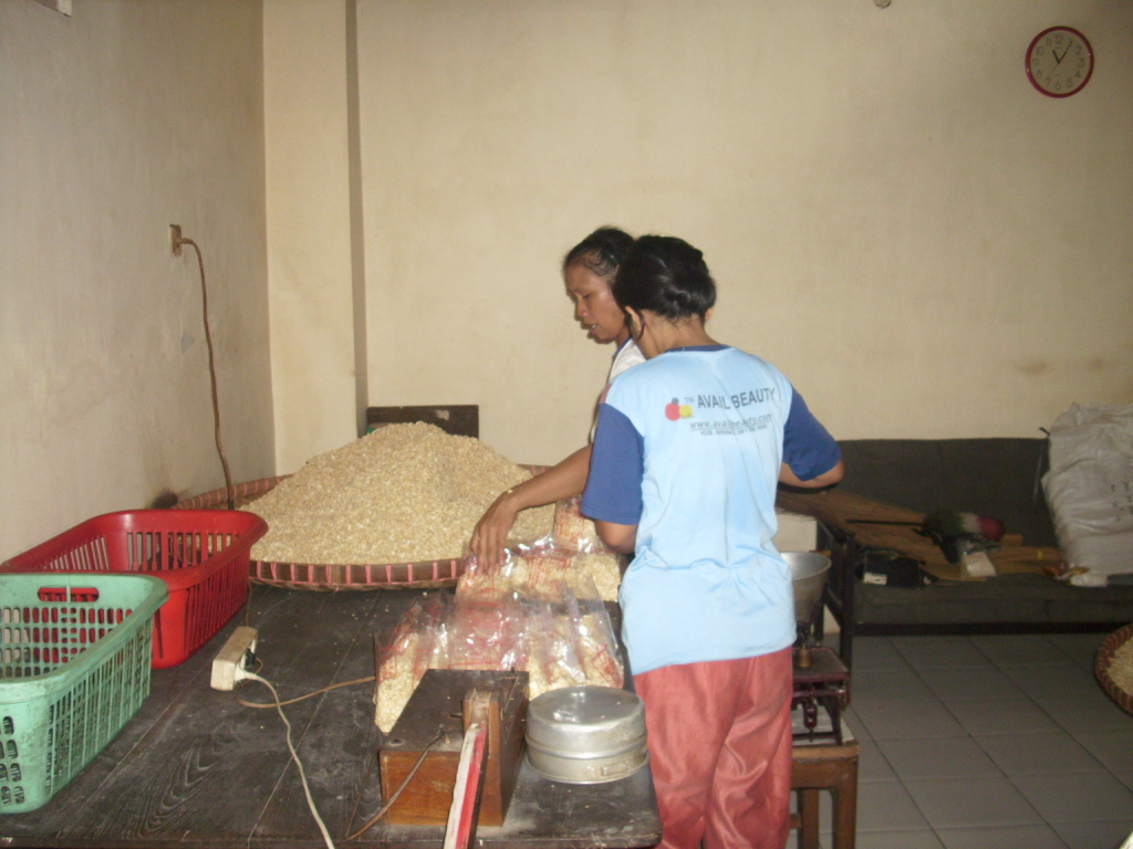 Jual Ragi Tempe Rhyzopus oryzae | MITRA BISNIS UKM. Telp. 087731375234