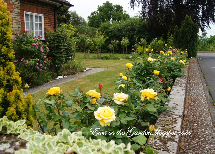 Ewa in the Garden: House in the roses