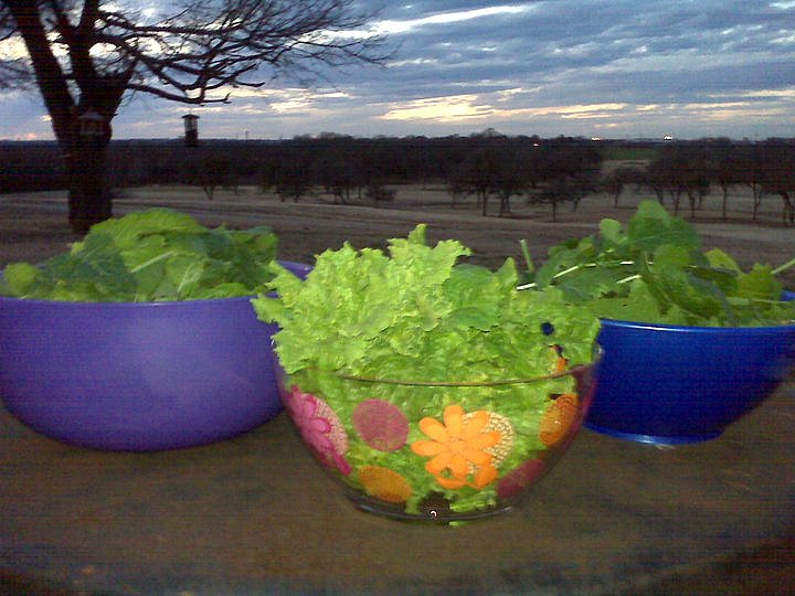 Doskogirl Turnip Greens, Pot Liquor, Pepper Juice and Cornbread