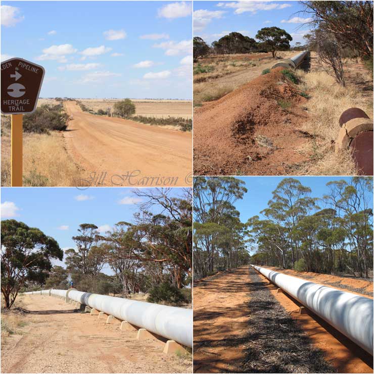 Life Images by Jill The need for water on the goldfields Perth to