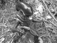 Kenner 1994 Alien vs Predator 2-Pack Figure Review